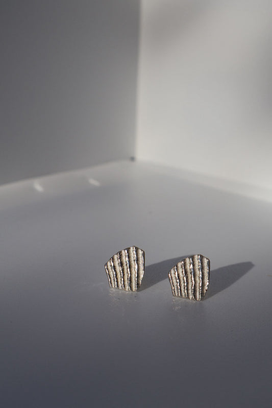 עגילי צדף צמודים